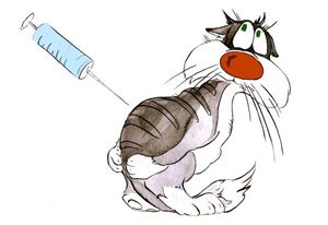 Profilaktinės veterinarinės procedūros